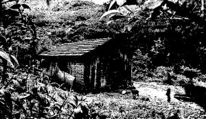 Foto em preto e branco de um pequeno casebre feito de pau a pique em meio a mata. Vemos que é uma casa pequena, de poucos cômodos, com uma porta e uma janela na fachada e uma janela na lateral.