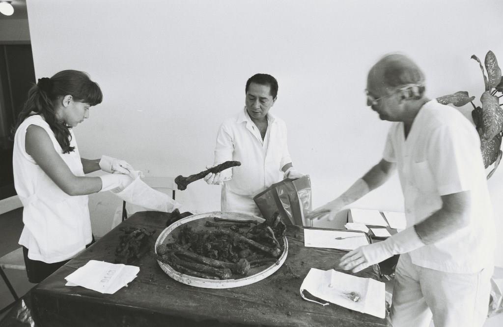 Foto em preto e branco de dois homens e uma mulher vestidos de branco e luvas manipulando ossos que estão sobre uma mesa.