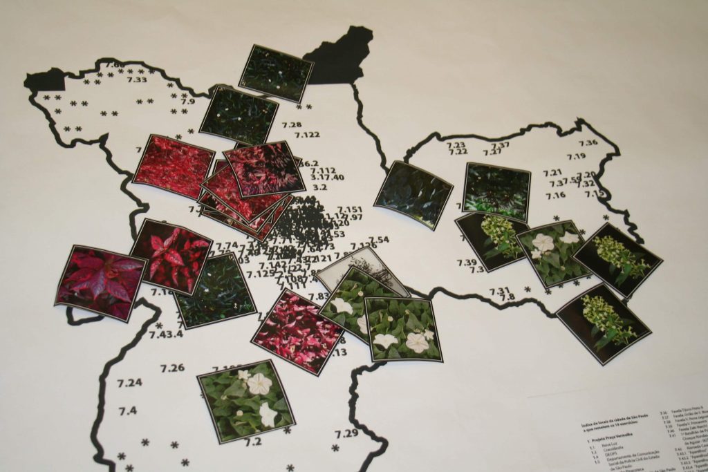 Foto de parte de um mapa da cidade de São Paulo, com contorno preto e com o fundo branco. Vemos vários asteriscos e números espalhados pelo mapa, com uma concentração na área central. Sobre o mapa 21 fotos de plantas, 8 com folhagem vermelha, 13 com folhagens verdes. Das verdes, 4 delas tem flores brancas.